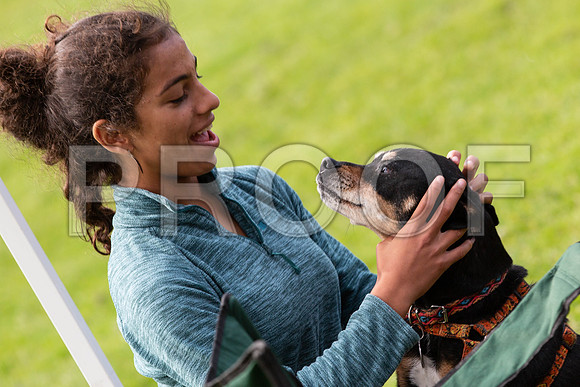 769_HebdensHappyHounds2019_craigshaw