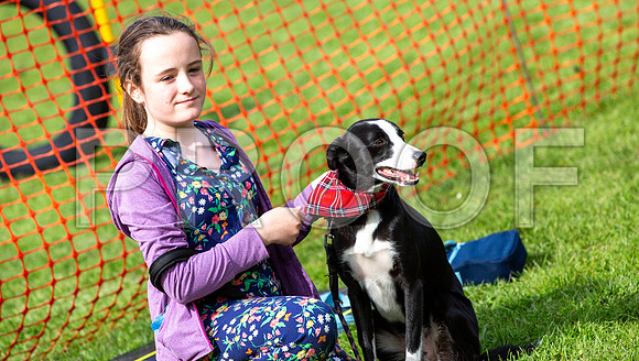 772_HebdensHappyHounds2019_craigshaw