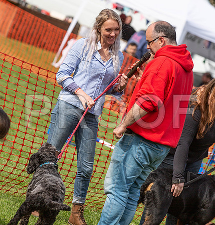 777_HebdensHappyHounds2019_craigshaw