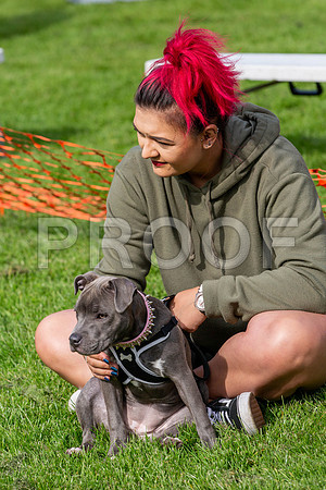 784_HebdensHappyHounds2019_craigshaw