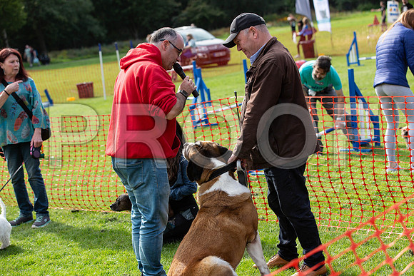 787_HebdensHappyHounds2019_craigshaw