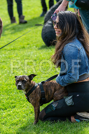 790_HebdensHappyHounds2019_craigshaw