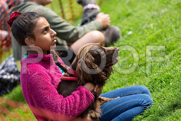 792_HebdensHappyHounds2019_craigshaw