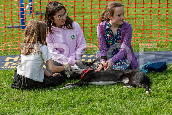 801_HebdensHappyHounds2019_craigshaw