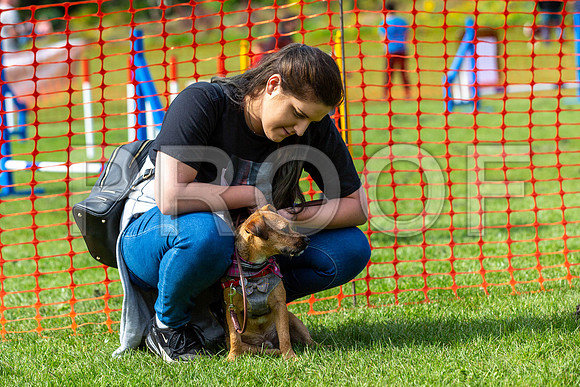 805_HebdensHappyHounds2019_craigshaw