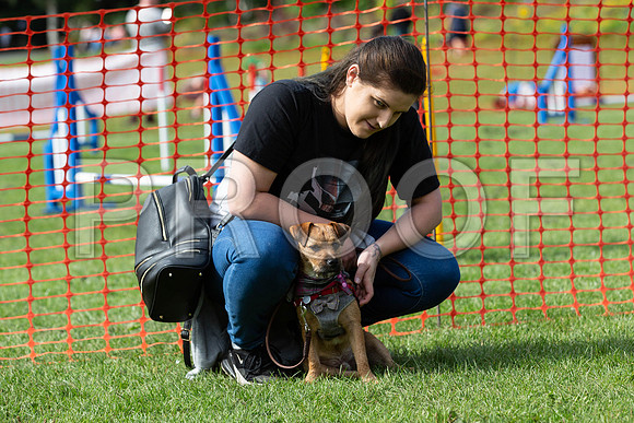 807_HebdensHappyHounds2019_craigshaw