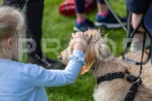 829_HebdensHappyHounds2019_craigshaw