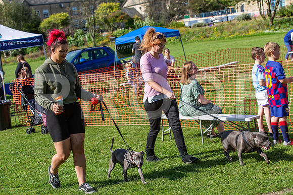 940_HebdensHappyHounds2019_craigshaw