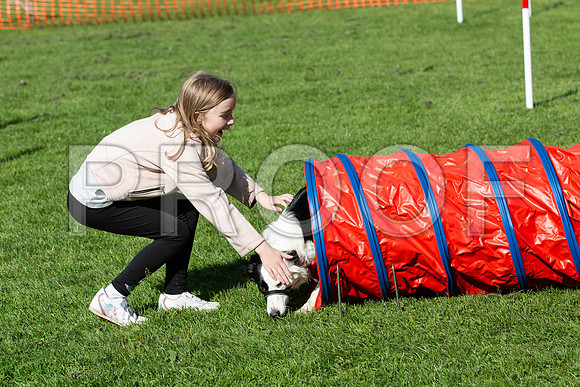 947_HebdensHappyHounds2019_craigshaw