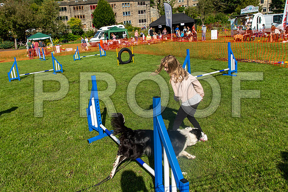 959_HebdensHappyHounds2019_craigshaw
