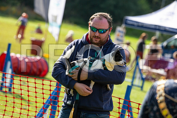 966_HebdensHappyHounds2019_craigshaw
