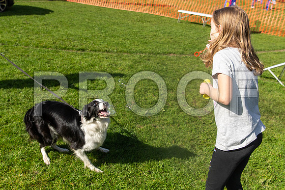 999_HebdensHappyHounds2019_craigshaw