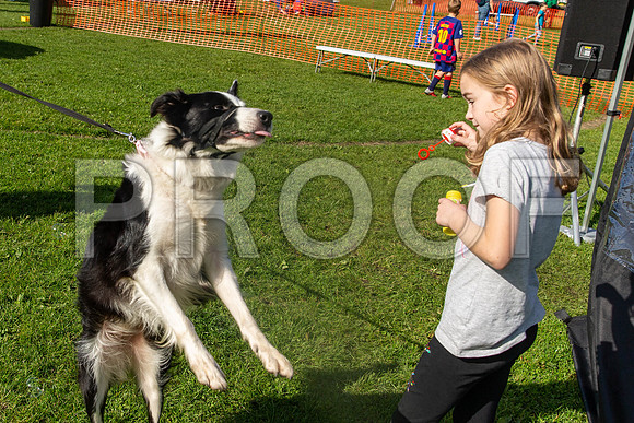 1004_HebdensHappyHounds2019_craigshaw