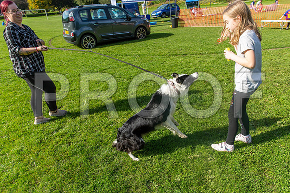 1006_HebdensHappyHounds2019_craigshaw