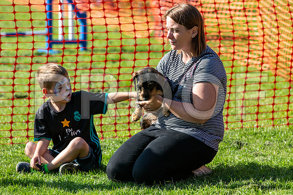 1027_HebdensHappyHounds2019_craigshaw