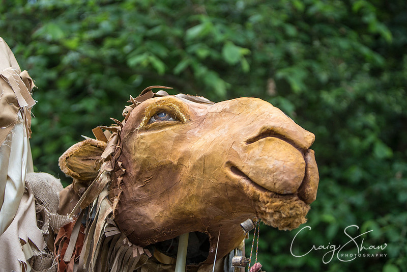 144_HandmadeParade2014_craigshaw