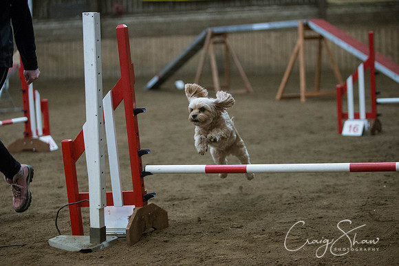 1573_springfling2015_bluplanetphoto