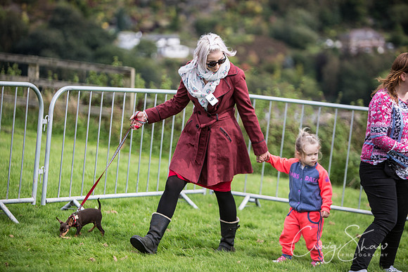 149_Woofstock2016_craigshaw