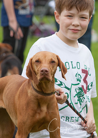 RSPCA Dog Day Afternoon