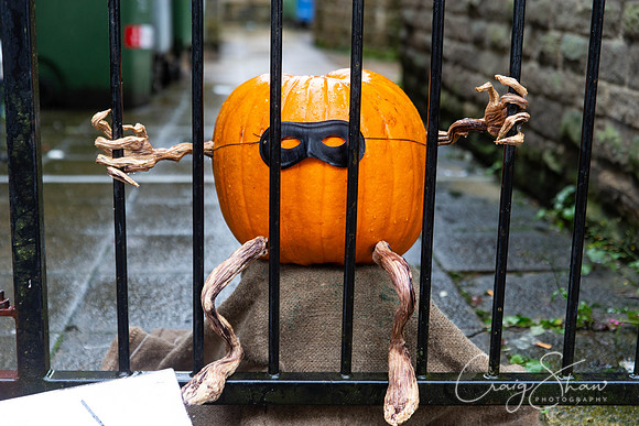 321_HBPumpkinFestival2019_craigshaw