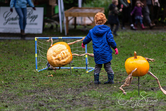 488_HBPumpkinFestival2019_craigshaw