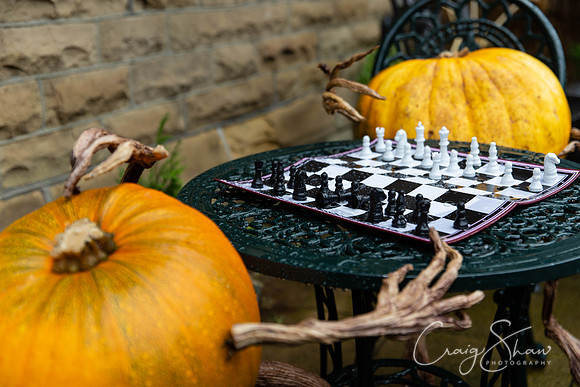 536_HBPumpkinFestival2019_craigshaw