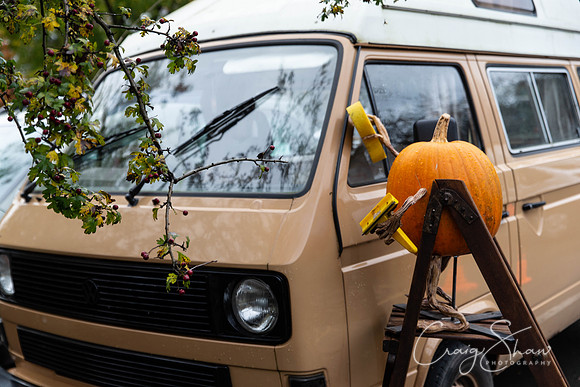 626_HBPumpkinFestival2019_craigshaw