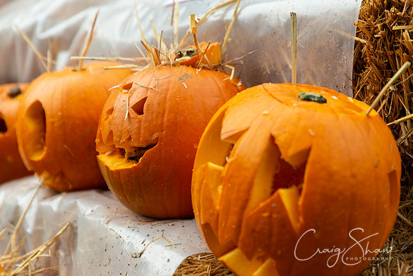 637_HBPumpkinFestival2019_craigshaw