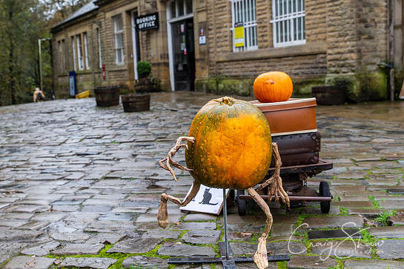 497_HBPumpkinFestival2019_craigshaw