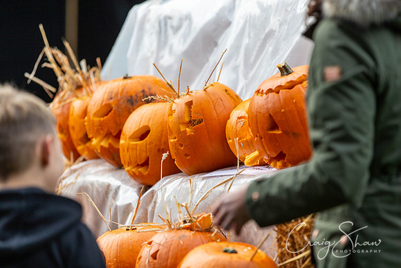 710_HBPumpkinFestival2019_craigshaw