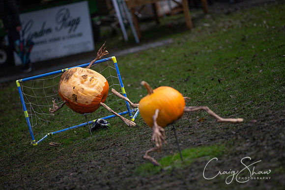744_HBPumpkinFestival2019_craigshaw
