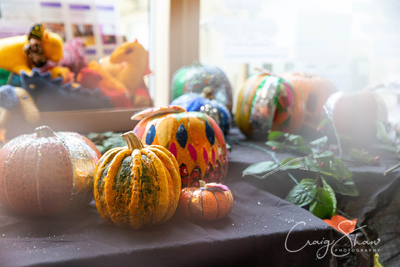 127_HBPumpkinFestival2019_craigshaw