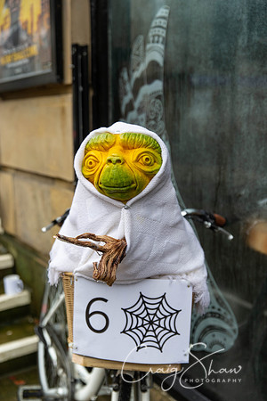 152_HBPumpkinFestival2019_craigshaw