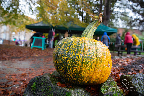 174_HBPumpkinFestival2019_craigshaw