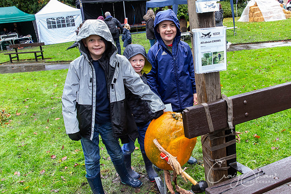 184_HBPumpkinFestival2019_craigshaw
