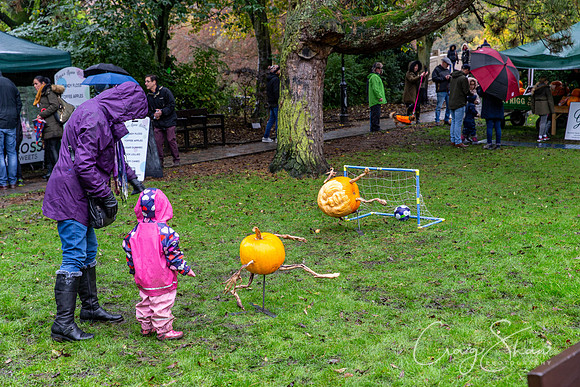 204_HBPumpkinFestival2019_craigshaw