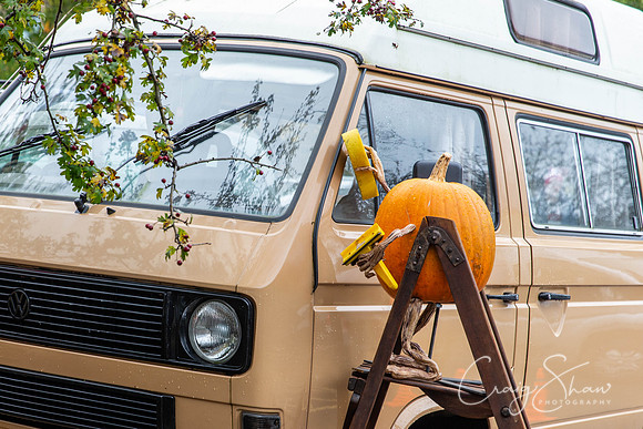 623_HBPumpkinFestival2019_craigshaw
