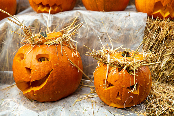 641_HBPumpkinFestival2019_craigshaw