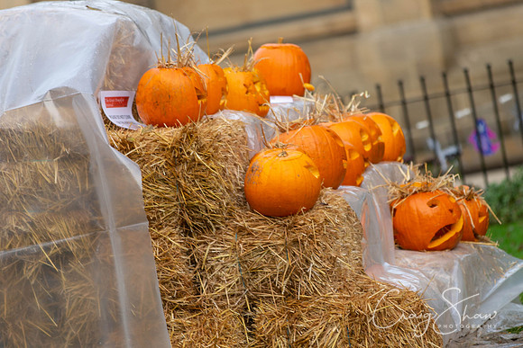 701_HBPumpkinFestival2019_craigshaw