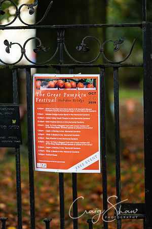 714_HBPumpkinFestival2019_craigshaw
