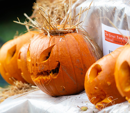 719_HBPumpkinFestival2019_craigshaw