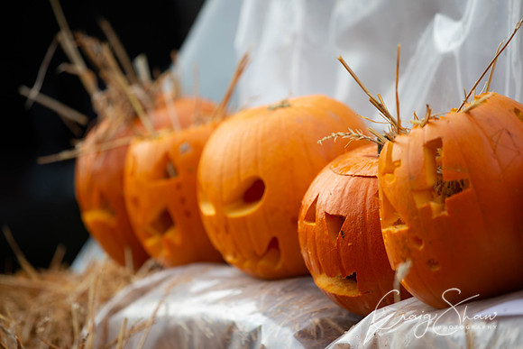 720_HBPumpkinFestival2019_craigshaw