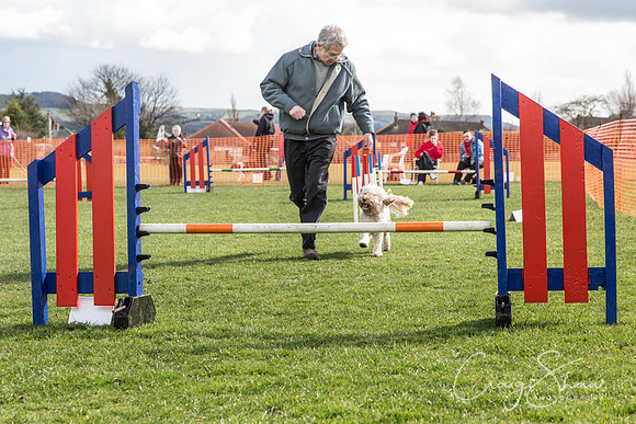404__SpringersFunDay_March2014_bluplanetphoto
