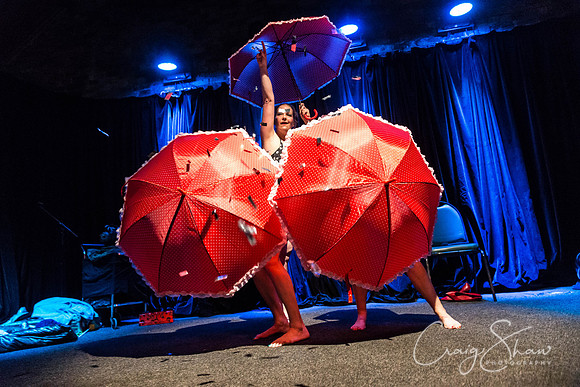 33_CabaretHeaven_TradesClub_14Nov2014_craigshaw