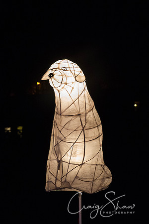93_LamplighterFestival2013_bluplanetphoto