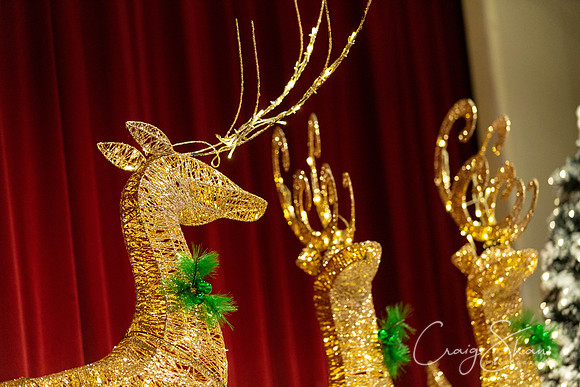 140_MytholmroydXmasLights_Nov2019_craigshaw