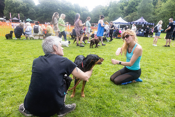 1649_HebdensHappyHounds2024_Cshaw-