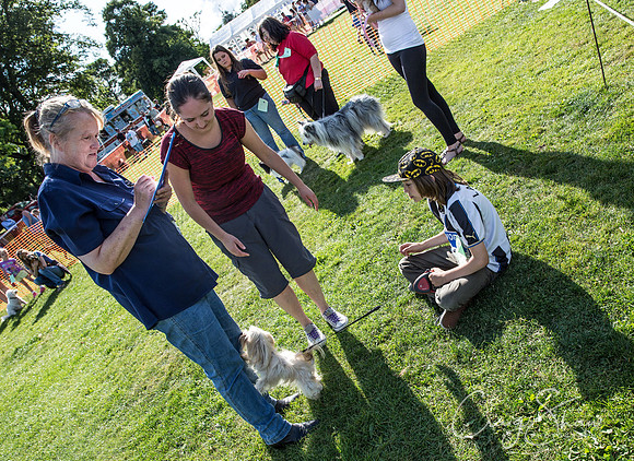 2434_K9Partyinthepark2014_RSPCAHalifax_bluplanetphoto