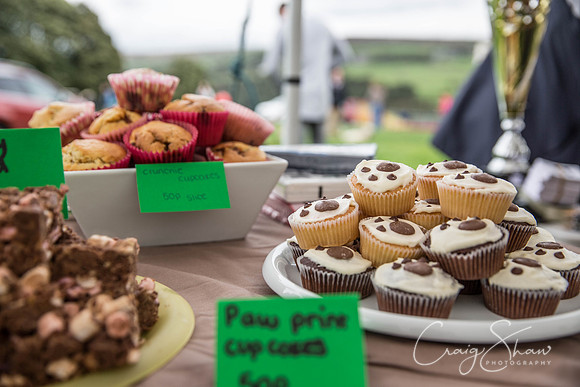 396_Woofstock2016_craigshaw