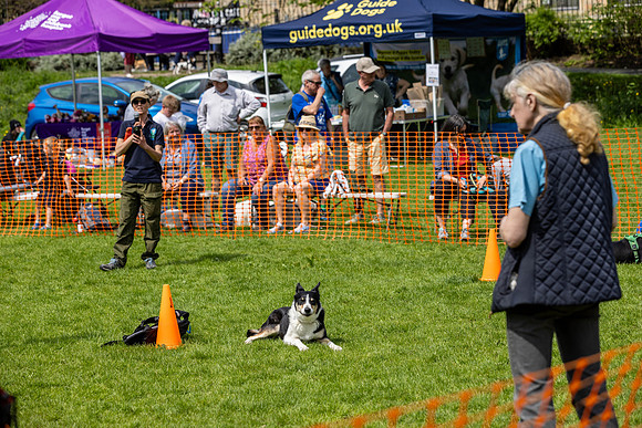 2515_HebdensHappyHounds2024_Cshaw-